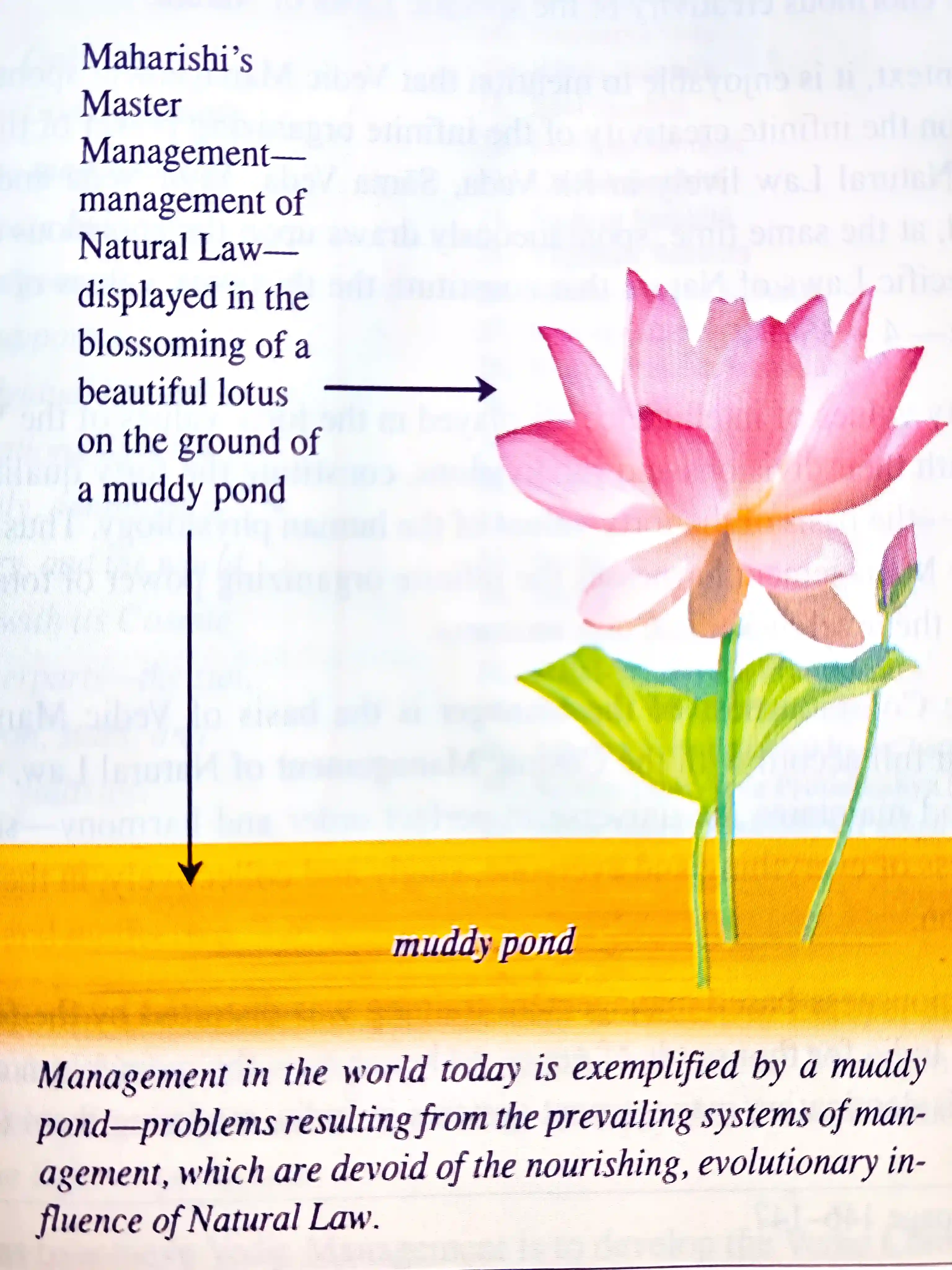 Maharishi's Master Management
